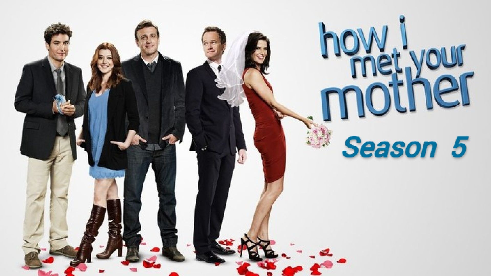 How I Met Your Mother (2009) S05 English WEB-DL 480p